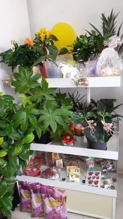 "MY FLOWERS-Цветя Роси" Доставка на цветя