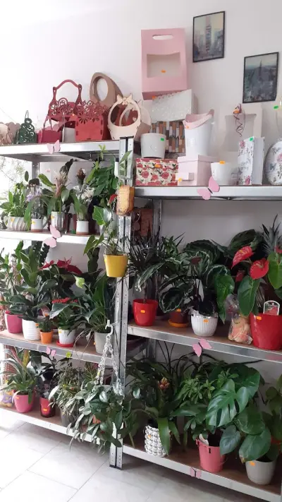 "MY FLOWERS-Цветя Роси" Доставка на цветя