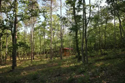 Белвю Хотел