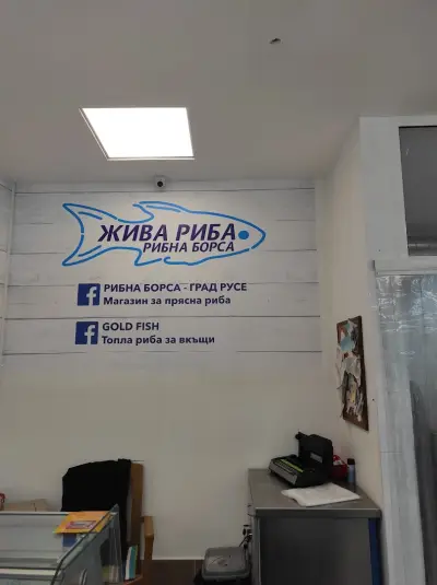 Магазин за прясна риба - Рибна борса