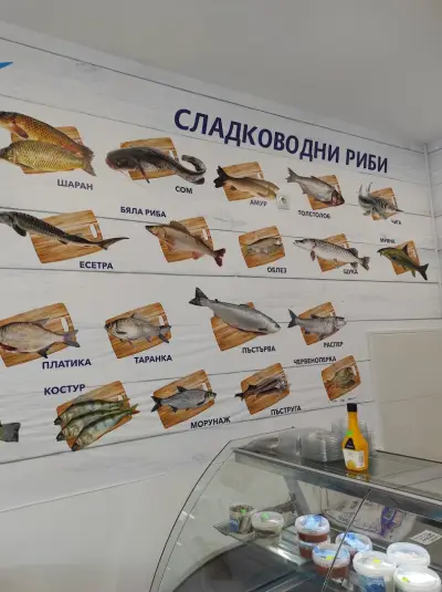 Магазин за прясна риба - Рибна борса