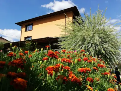 Guest House Lyaskovo