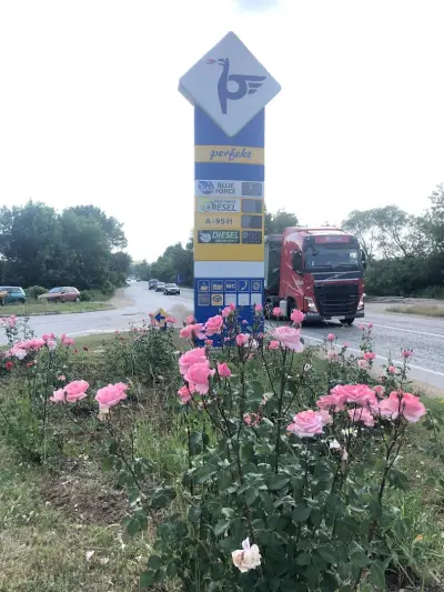 Петрол Малиново