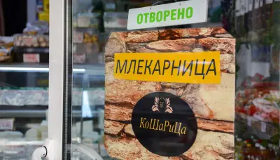 Млекарница Кошарица