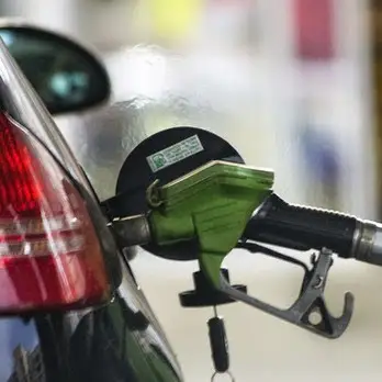Campos oil