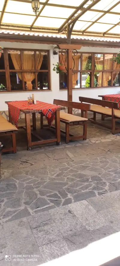 Кипарис