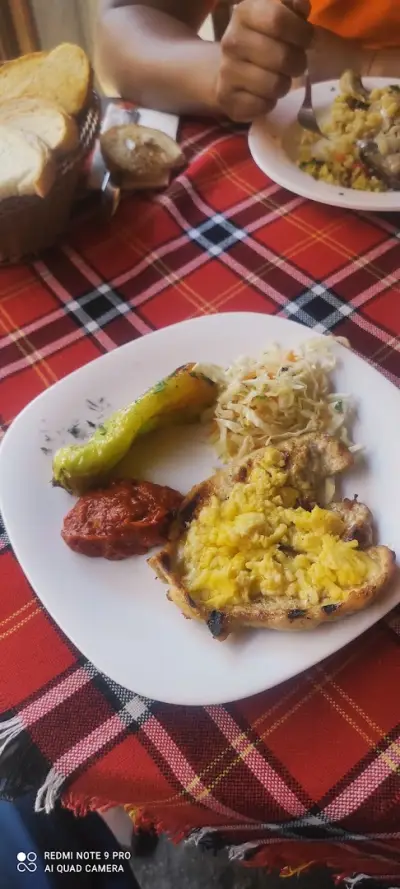 Кипарис