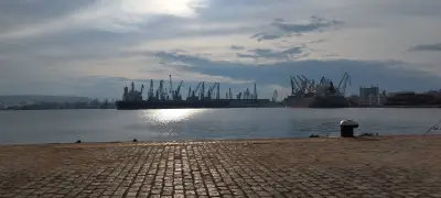 БЯЛА МАНИЯ