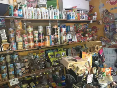 Зоомагазин Чип и Дейл
