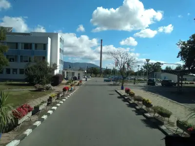 Е.МИРОЛИО