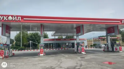 LUKOIL D409