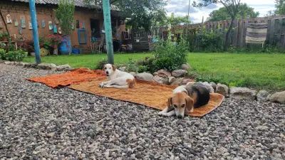 Sun Farm Camp | Слънчевата ферма