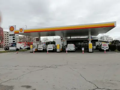 Shell