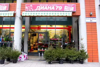 Магазин "Диана - 79"
