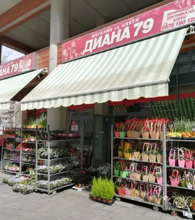 Магазин "Диана - 79"