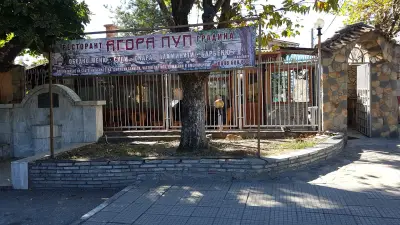 AGORA PUP