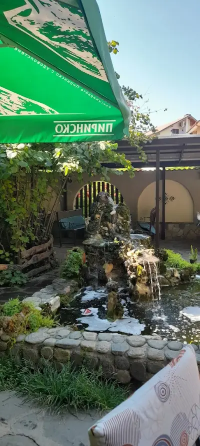 AGORA PUP
