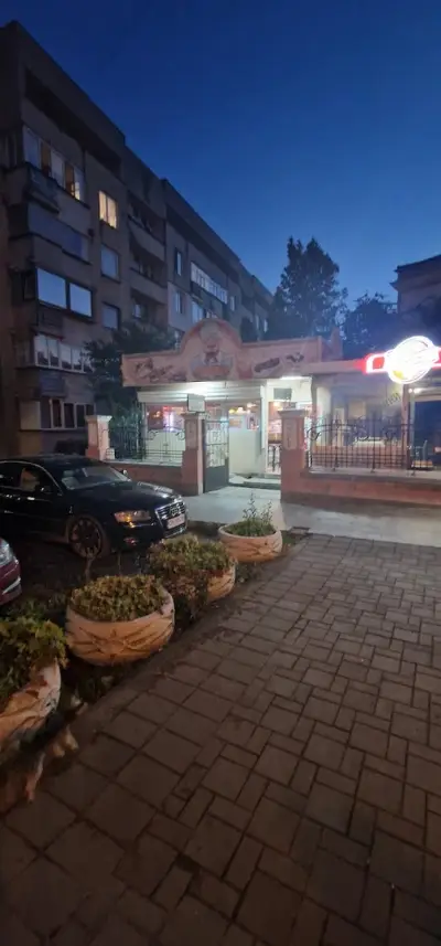 Панини