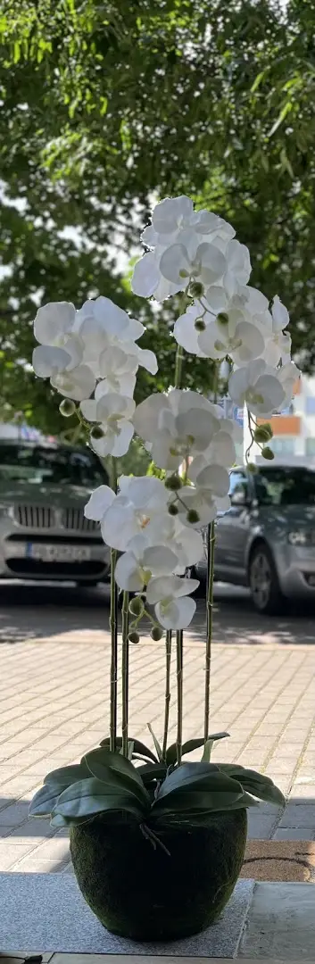 Магазин Миа