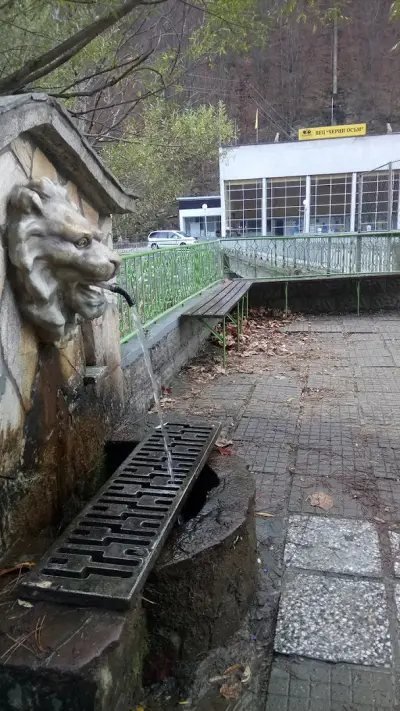 ВЕЦ ЧЕРНИ ОСЪМ