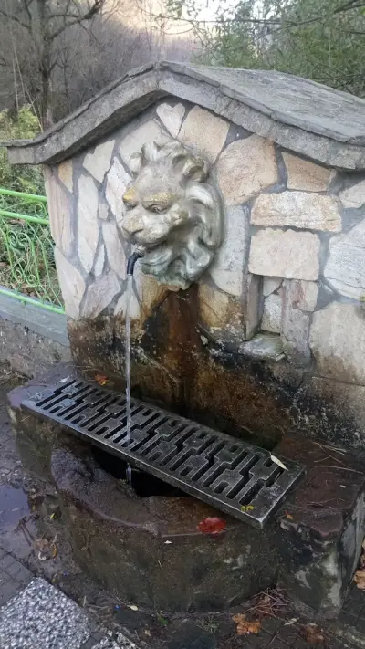 ВЕЦ ЧЕРНИ ОСЪМ