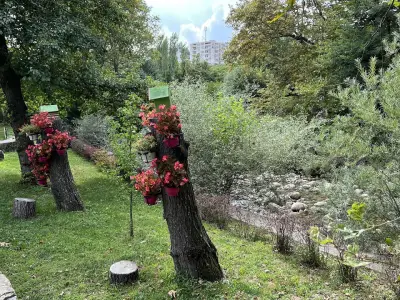 АДВОКАТСКА КАНТОРА НОНЕВА-ЗЛАТКОВА