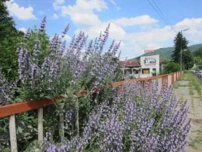 ХЛЕБОПРОИЗВОДСТВО И СЛАДКАРСТВО
