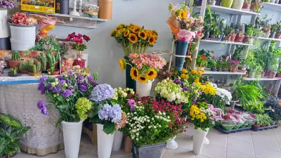 Цветарница Жест