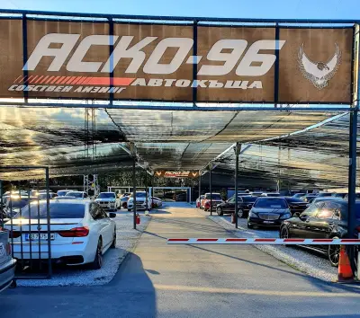 Аско 96