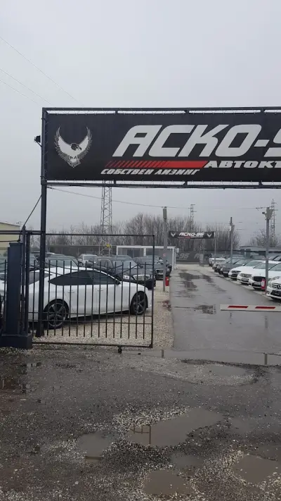 Аско 96