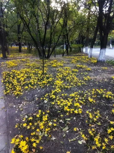 ДКЦ „Свети Георги“
