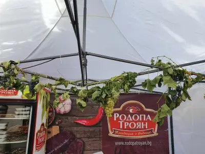 РОДОПА ТРОЯН