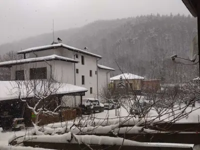 Вили Карма