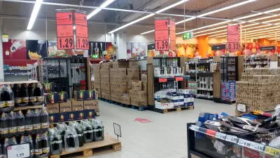 Kaufland Плевен-Воден