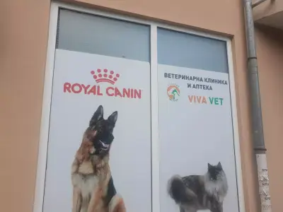 Вивавет | Бургас