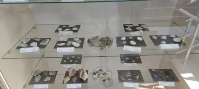 Посетителски Център "Поморийско езеро"