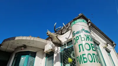 Сафари