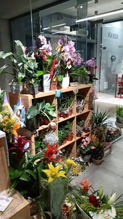 Beauty - Flowers & Souvenirs Shop