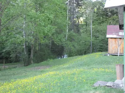 Къмпинг „Бор“
