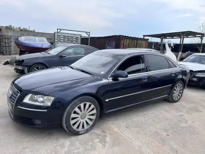 МУСТАНГ 1
