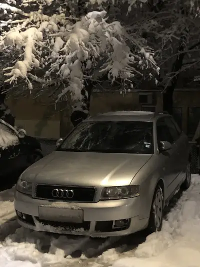 МУСТАНГ 1