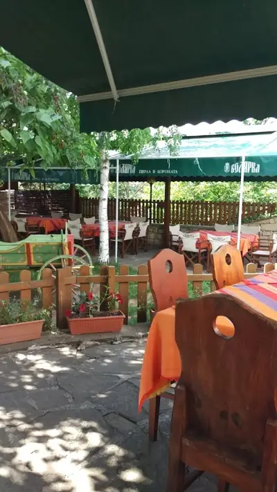 Лятна градина Паяк