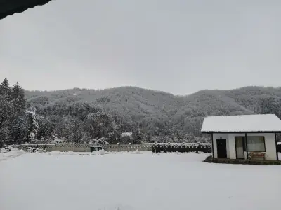 Комплекс Антик