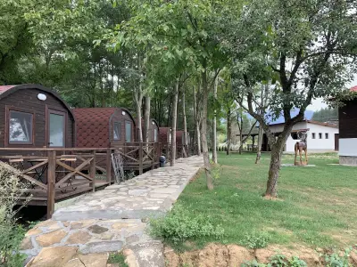 Карамановите къщи