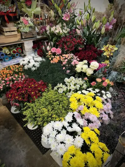Цветарски магазин IVENFLORIST