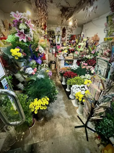 Цветарски магазин IVENFLORIST