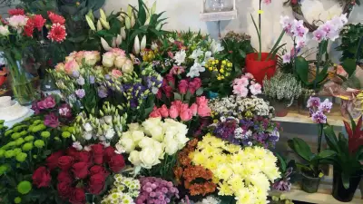 Цветарски магазин IVENFLORIST