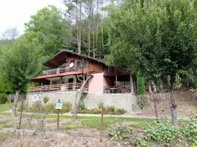 Изгрев