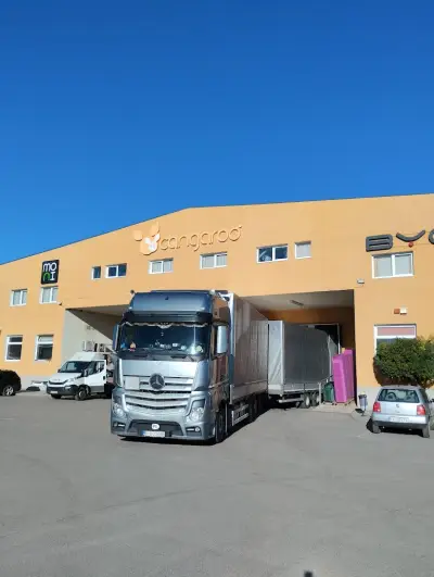 Мони Трейд ООД