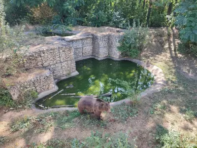 Зоопарк Добрич